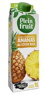 Jus d'ananas du Costa Rica Plein Fruit, brique d'un litre