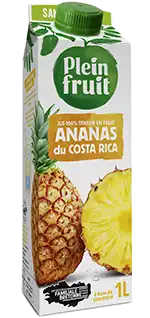 Jus d'ananas du Costa Rica Plein Fruit, brique d'un litre