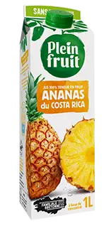 Jus d'ananas du Costa Rica, 100% teneur en fruit Plein Fruit